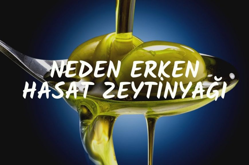 Neden Erken Hasat Zeytinyağı Tercih Edilmeli